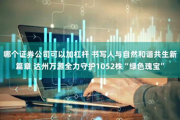 哪个证券公司可以加杠杆 书写人与自然和谐共生新篇章 达州万源全力守护1052株“绿色瑰宝”