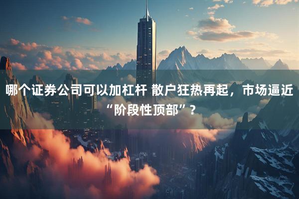 哪个证券公司可以加杠杆 散户狂热再起，市场逼近“阶段性顶部”？