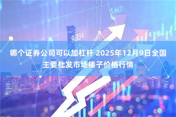 哪个证券公司可以加杠杆 2025年12月9日全国主要批发市场榛子价格行情