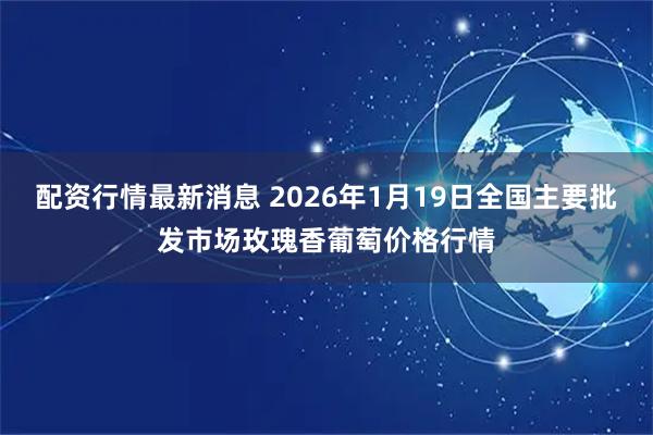 配资行情最新消息 2026年1月19日全国主要批发市场玫瑰香葡萄价格行情